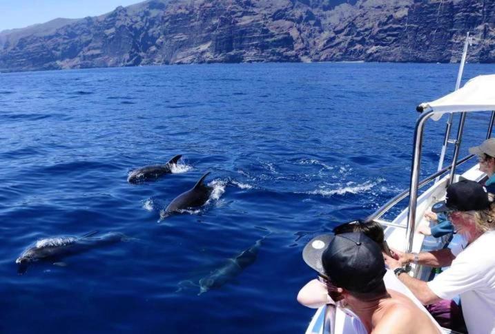 Apartamento incleibles vistas al océano y piscina. Acantilado de los Gigantes Extérieur photo